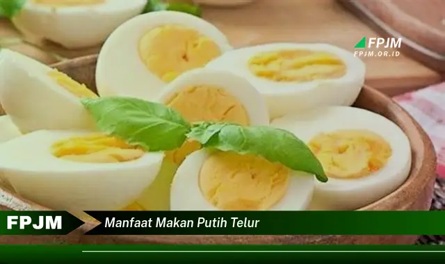 manfaat makan putih telur