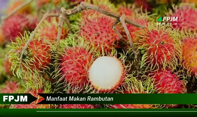 manfaat makan rambutan