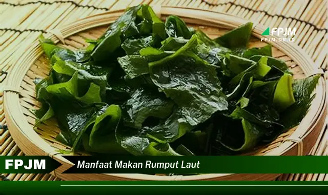 manfaat makan rumput laut