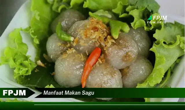 manfaat makan sagu manfaat makan sagu