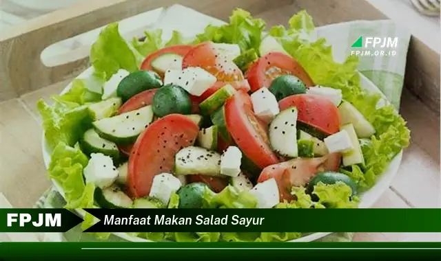 manfaat makan salad sayur manfaat makan salad sayur