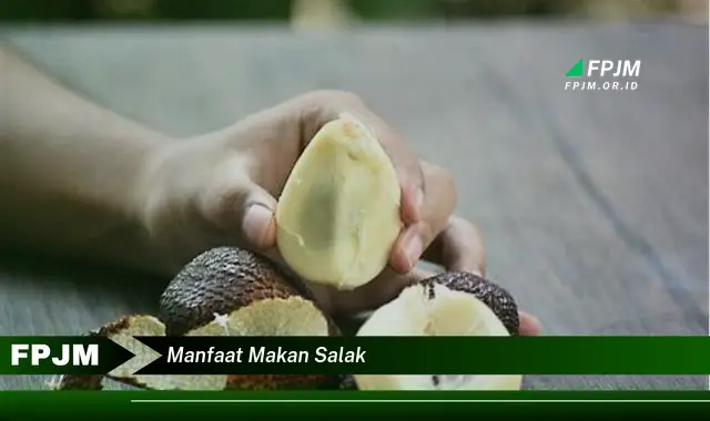 manfaat makan salak manfaat makan salak