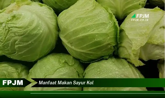 manfaat makan sayur kol manfaat makan sayur kol