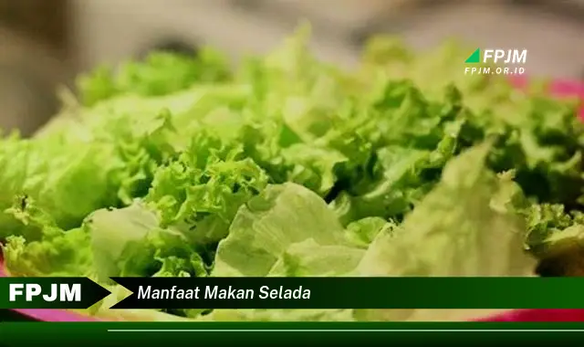 manfaat makan selada manfaat makan selada