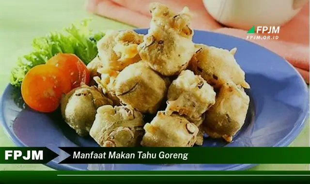 manfaat makan tahu goreng