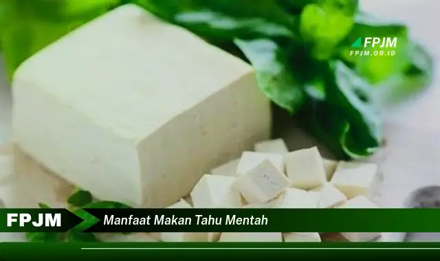 manfaat makan tahu mentah