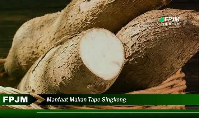 manfaat makan tape singkong manfaat makan tape singkong