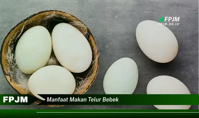 manfaat makan telur bebek