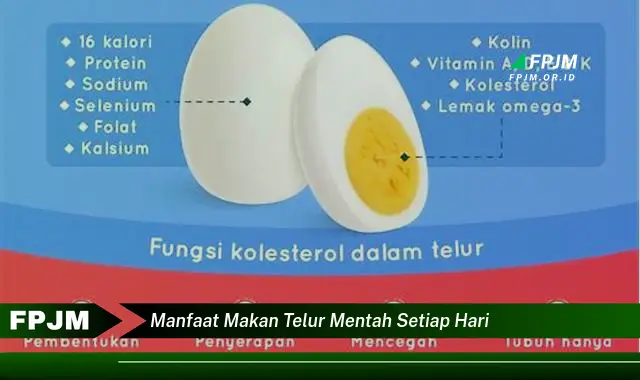 manfaat makan telur mentah setiap hari manfaat makan telur mentah setiap hari