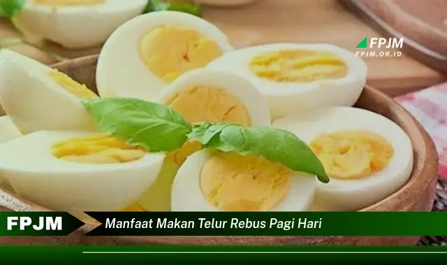 manfaat makan telur rebus pagi hari