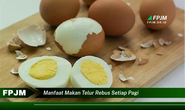 manfaat makan telur rebus setiap pagi manfaat makan telur rebus setiap pagi