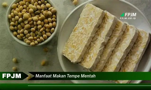 manfaat makan tempe mentah manfaat makan tempe mentah