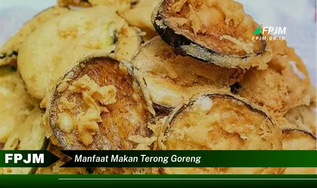 manfaat makan terong goreng