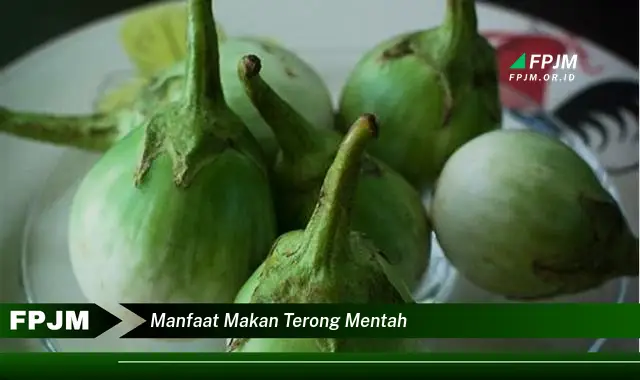 manfaat makan terong mentah manfaat makan terong mentah