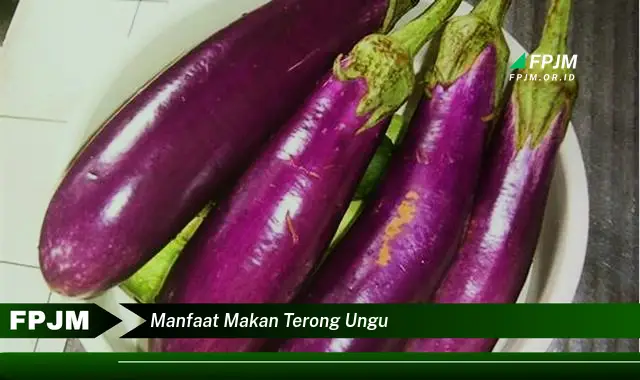 manfaat makan terong ungu