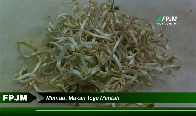 manfaat makan toge mentah