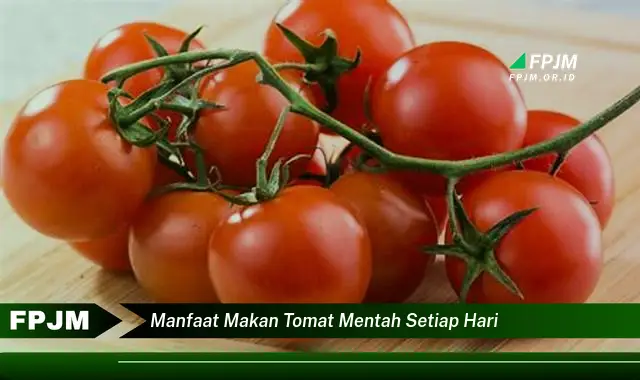 manfaat makan tomat mentah setiap hari