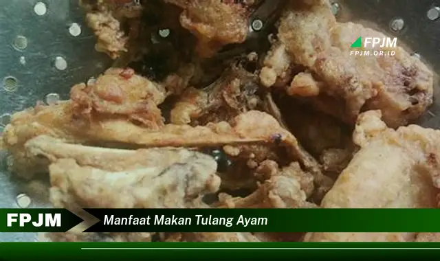 manfaat makan tulang ayam