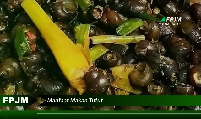 manfaat makan tutut