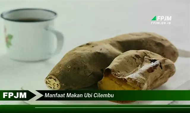 manfaat makan ubi cilembu