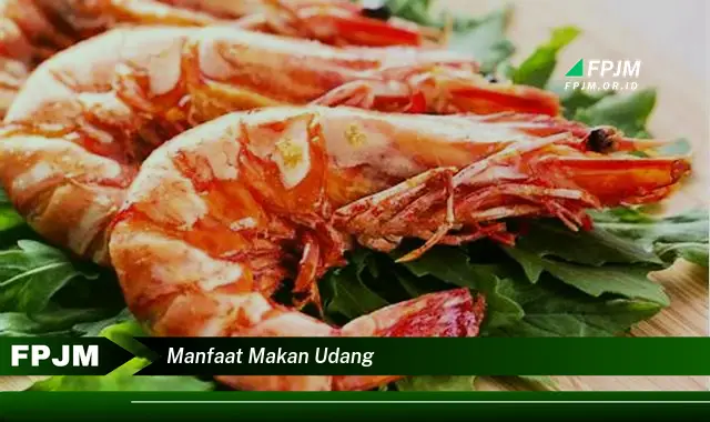 manfaat makan udang manfaat makan udang