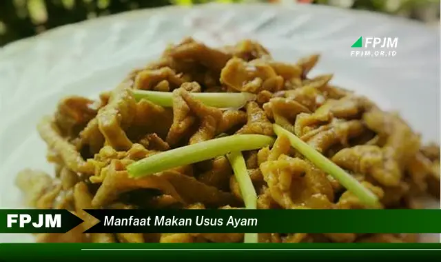 manfaat makan usus ayam