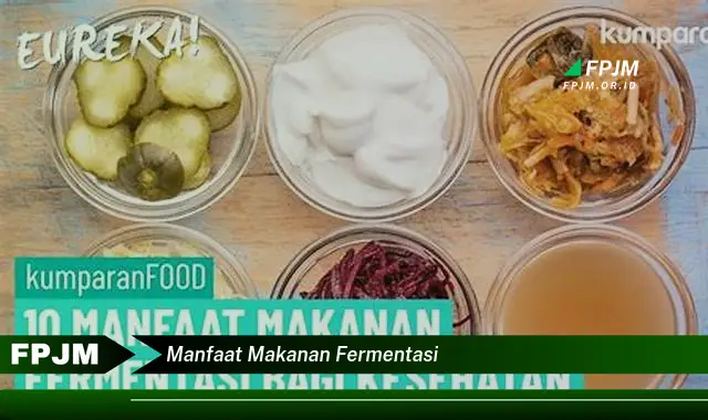 manfaat makanan fermentasi
