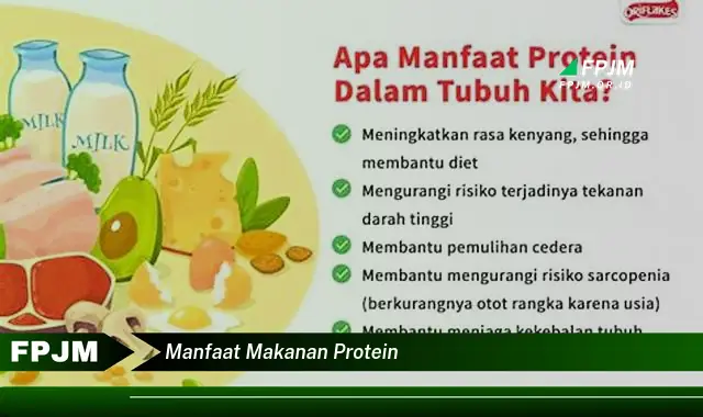 manfaat makanan protein manfaat makanan protein