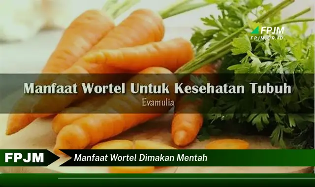 manfaat wortel dimakan mentah manfaat wortel dimakan mentah