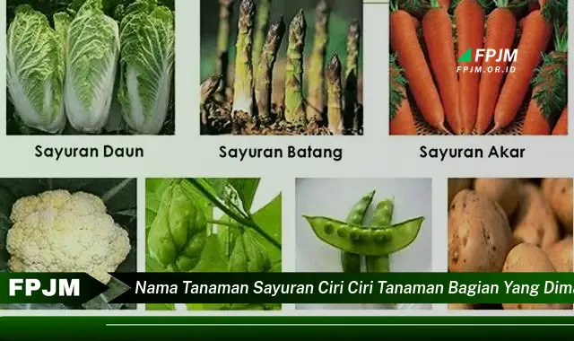 nama tanaman sayuran ciri ciri tanaman bagian yang dimakan dimanfaatkan