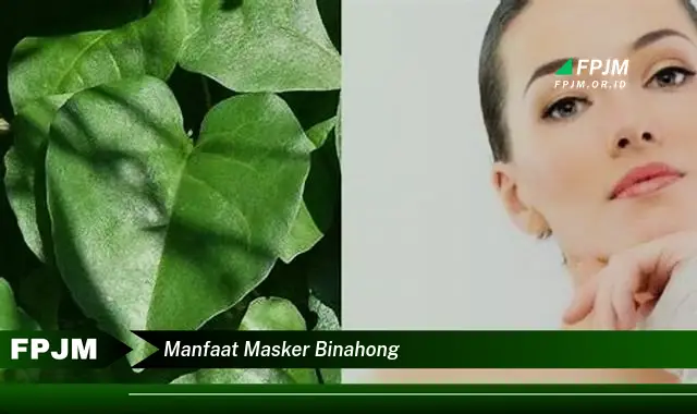 manfaat masker binahong manfaat masker binahong