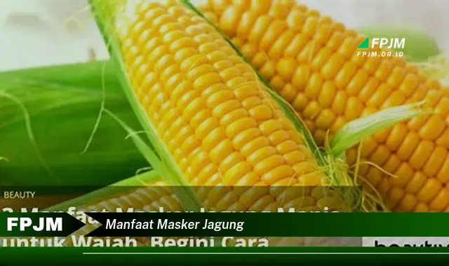 manfaat masker jagung manfaat masker jagung
