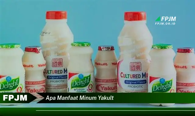 apa manfaat minum yakult