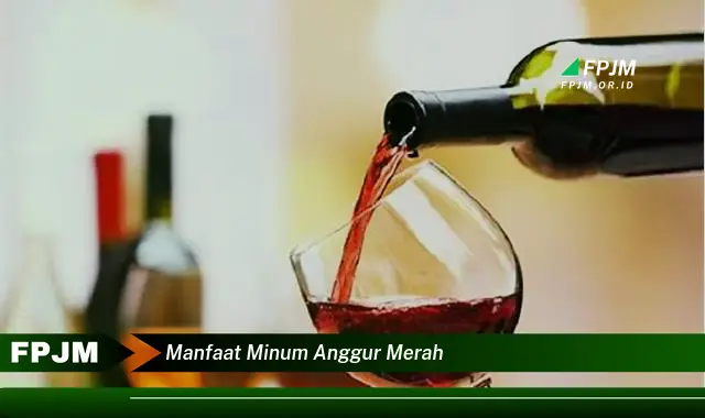 manfaat minum anggur merah