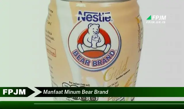 manfaat minum bear brand