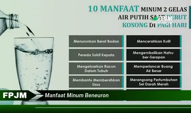 manfaat minum beneuron