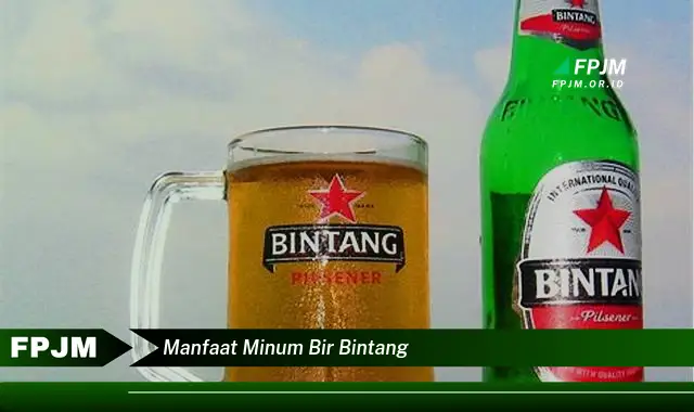 manfaat minum bir bintang