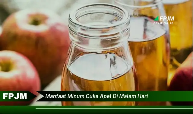 manfaat minum cuka apel di malam hari