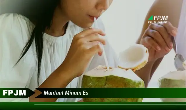 manfaat minum es