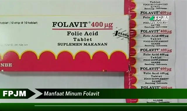 manfaat minum folavit