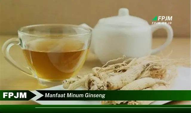 manfaat minum ginseng