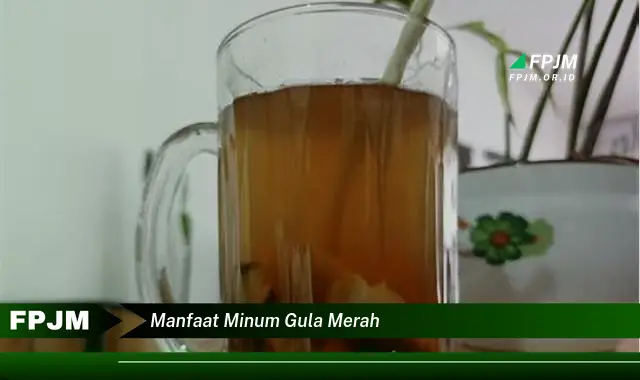 manfaat minum gula merah