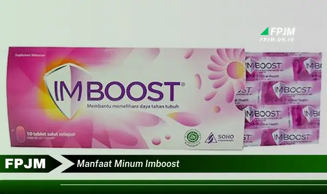 manfaat minum imboost