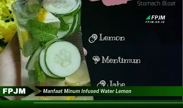 manfaat minum infused water lemon