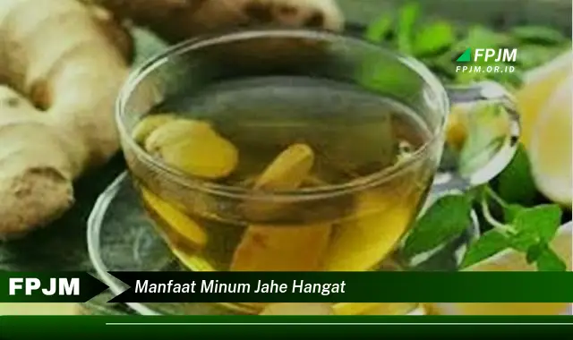 manfaat minum jahe hangat