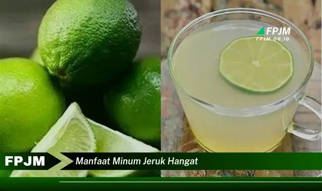 manfaat minum jeruk hangat