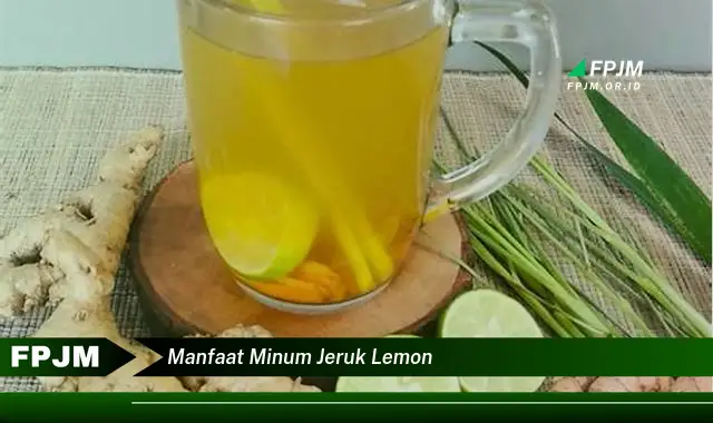 manfaat minum jeruk lemon