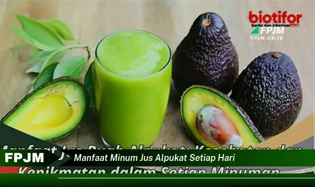 manfaat minum jus alpukat setiap hari