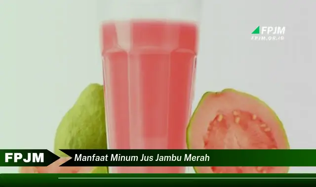 manfaat minum jus jambu merah