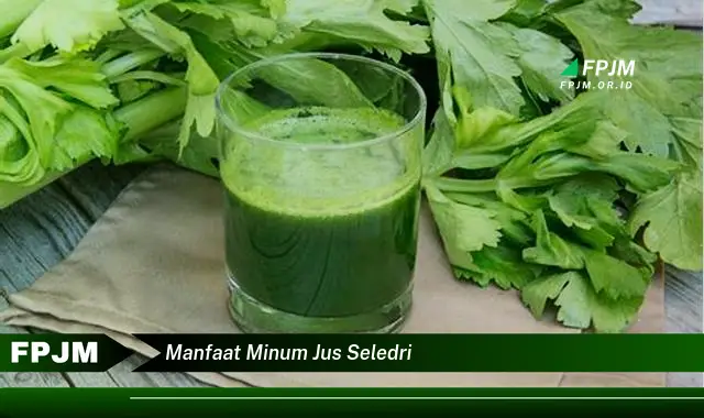 manfaat minum jus seledri